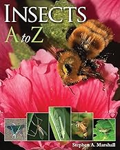 Insects A to Z