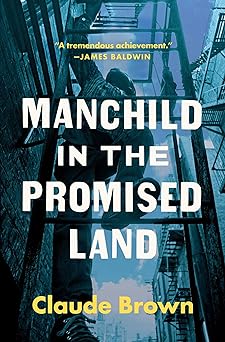 Manchild in the Promised Land