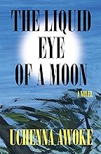 The Liquid Eye of a Moon: A Novel