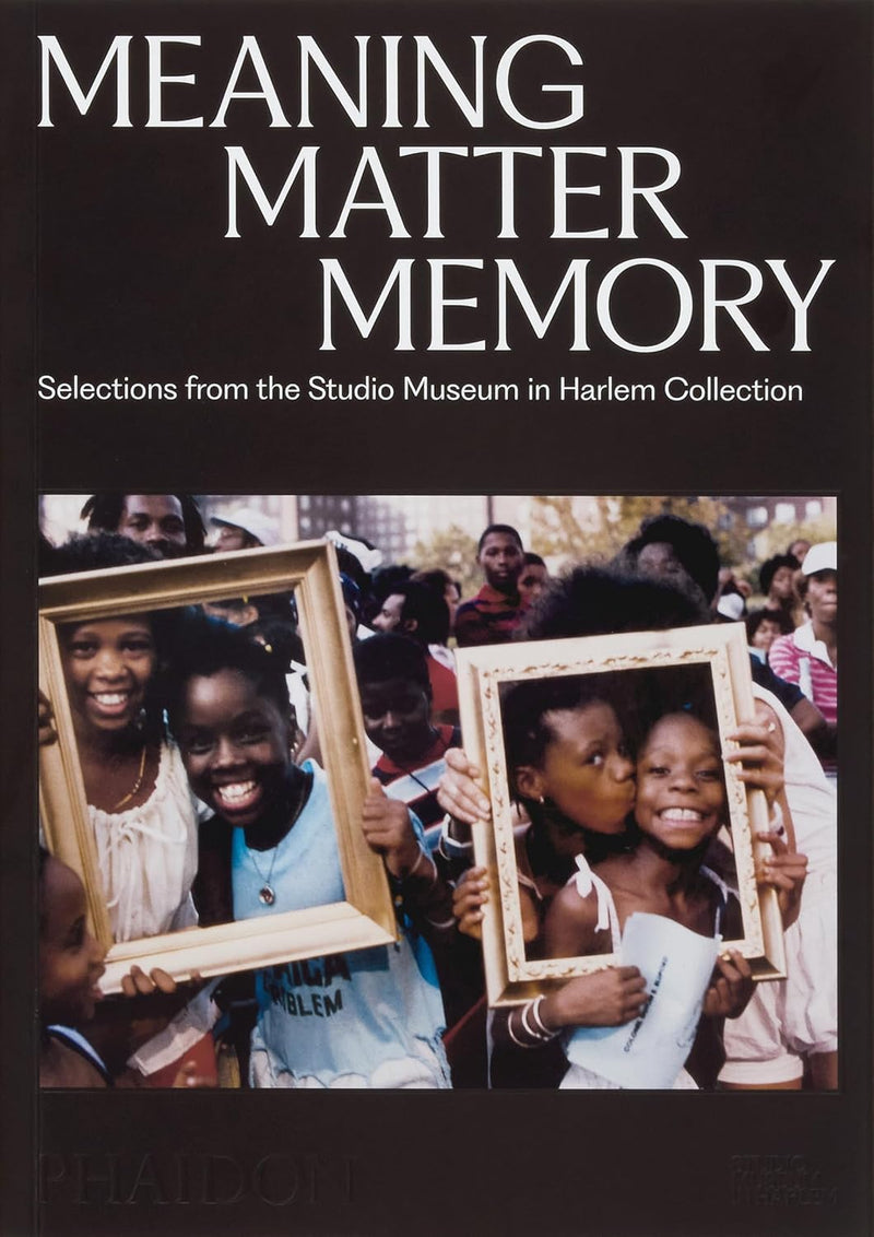 Meaning Matter Memory: Selections from the Studio Museum in Harlem Collection
