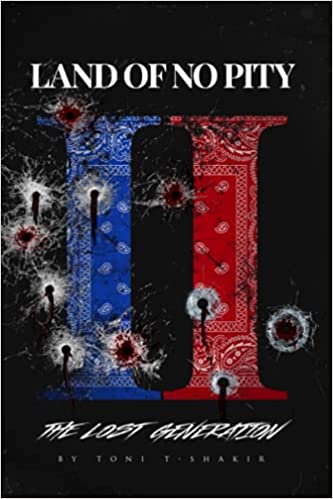 Land Of No Pity 2: The Lost Generation (Paperback)