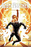 BLACK PANTHER: A NATION UNDER OUR FEET, BOOK 2 ( BLACK PANTHER )