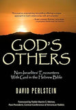 God's Others: Non-Israelites' Encounters with God in the Hebrew Bible (Hardcover)