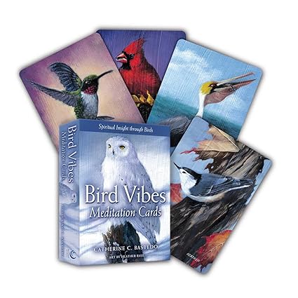Bird Vibes Meditation Cards: Spiritual Insight Through Birds - A 54-Card Deck and Guidebook