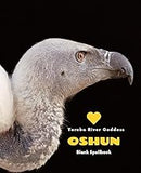 Love Oshun: Yoruba River Goddess Spellbook