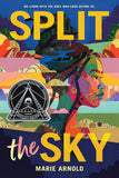 Split the Sky (Coretta Scott King Author Honor Title)