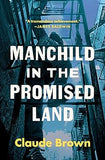 Manchild in the Promised Land