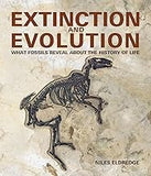 Extinction and Evolution: What Fossils Reveal About the History of Life