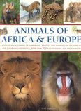 Animals of Africa and Europe: A Visual Encyclopedia of Amphibians, Reptiles and Mammals in the Asian and Australasian Continents, with over 350 Illustrations and Photographs