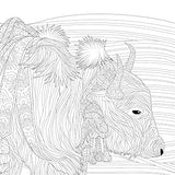 Beauty of the Far East: A Coloring Exploration