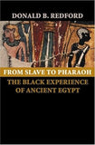 From Slave to Pharaoh: The Black Experience of Ancient Egypt