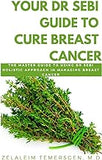 YOUR DR SEBI GUIDE TO CURE BREAST CANCER: THE MASTER GUIDE TO USING DR SEBI HOLISTIC APPROACH IN MANAGING BREAST CANCER by ZELALEIM TEMERSGEN