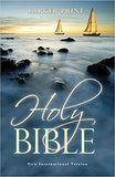 Larger Print Bible-NIV