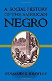 A Social History of the American Negro