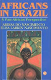 AFRICANS IN BRAZIL   HB	A PAN-AFRICAN PERSPECTIVE