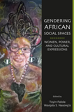Gendering African Social Spaces Women, Power, and Cultural Expressions